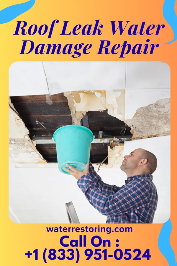 Roof Leak Water Damage Repair in Waterloo, WI